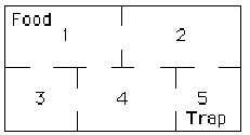 This figure shows the layout of the rooms that the rat can navigate through.