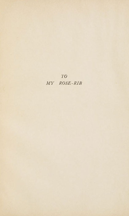 Dedication           page