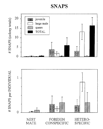 the number of snaps per individual and total for the colony.