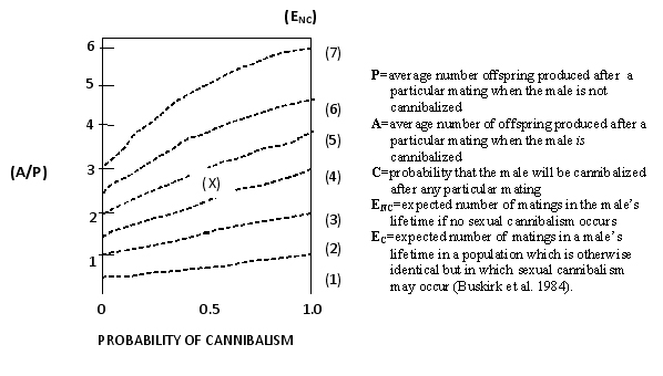 graph showing the evolution of sexual cannibalism