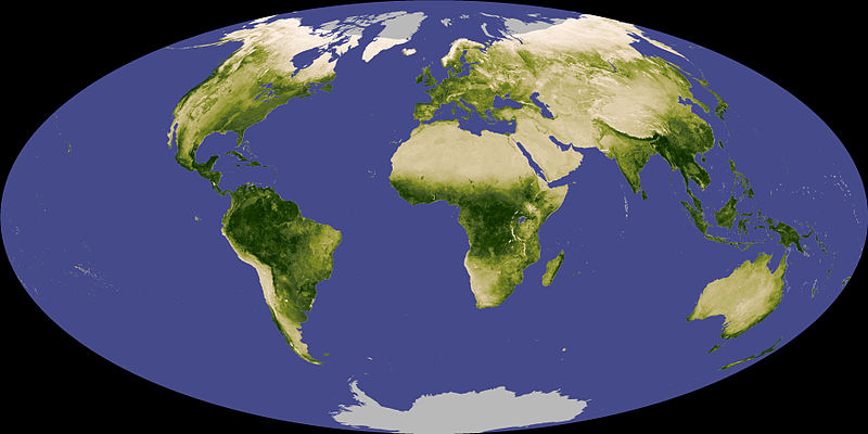 Global Forest Map