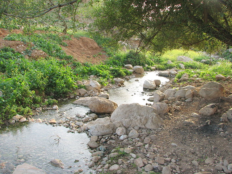 photograph of a spring