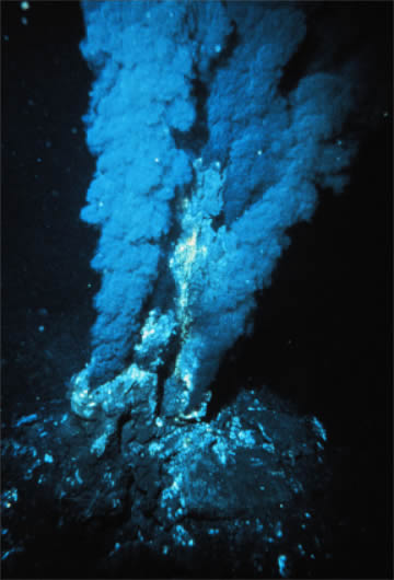 photograph of a Black Smoker