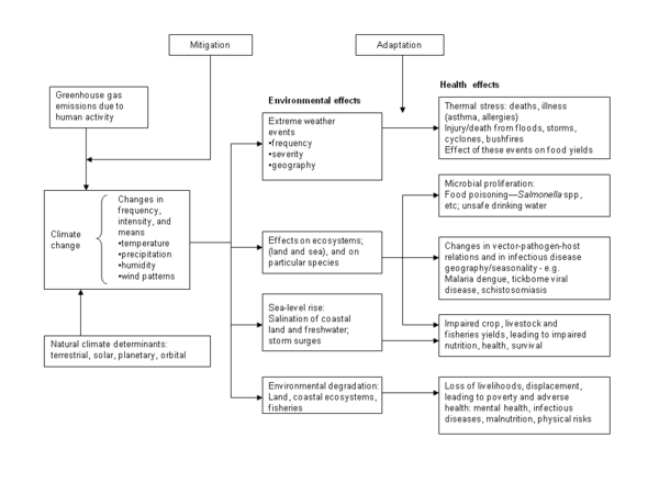 diagram summarizing the main pathways by which climate change affects population health