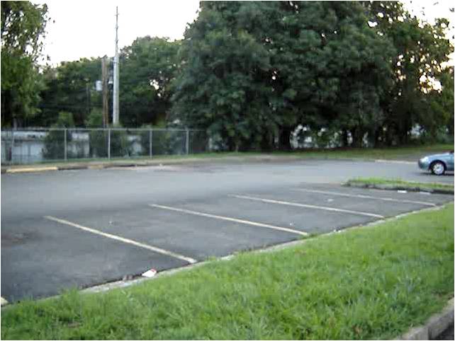 Driver throws out trash into parking lot