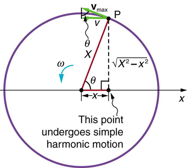 The figure shows a point P moving through the circumference of a circle in an angular way with angular velocity omega. The diameter is projected along the x axis, with point P making an angle theta at the centre of the circle. A point along the diameter shows the projection of the point P with a dotted perpendicular line from P to this point, the projection of the point is given as v along the circle and its velocity v subscript max, over the top of the projection arrow in an upward left direction.