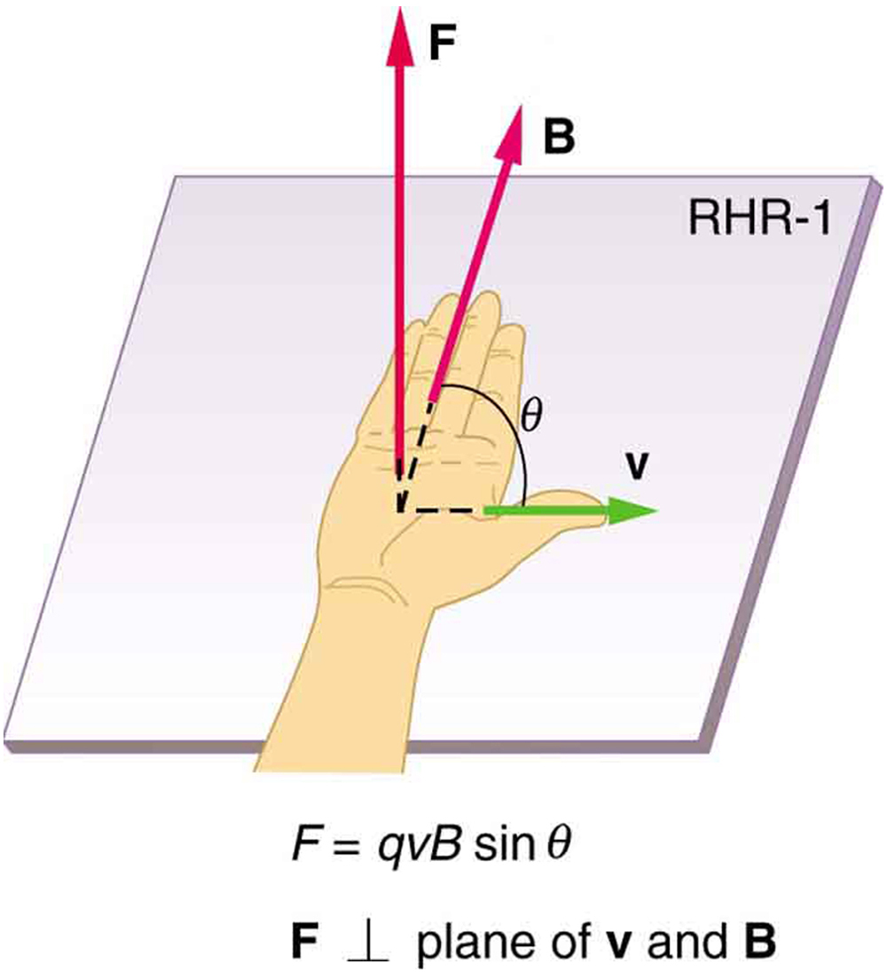 The right hand rule 1. An outstretched right hand rests palm up on a piece of paper on which a vector arrow v points to the right and a vector arrow B points toward the top of the paper. The thumb points to the right, in the direction of the v vector arrow. The fingers point in the direction of the B vector. B and v are in the same plane. The F vector points straight up, perpendicular to the plane of the paper, which is the plane made by B and v. The angle between B and v is theta. The magnitude of the magnetic force F equals q v B sine theta.