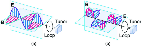 Part a of the diagram shows an electromagnetic wave approaching a receiver loop connected to a tuner. The wave is shown with the variation of two components E and B. E is a sine wave in vertical plane with small arrows showing the vibrations of particles in the plane. B is a sine wave in a horizontal plane perpendicular to the E wave. The B wave has arrows to show the vibrations of particles in the plane. The waves are shown intersecting each other at the junction of the planes because E and B are perpendicular to each other. The direction of propagation of wave is shown perpendicular to E and B waves. Part b of the diagram shows an electromagnetic wave approaching a receiver loop connected to a tuner. The wave is shown with the variation of two components E and B. E is a sine wave in horizontal plane with small arrows showing the vibrations of particles in the plane. B is a sine wave in a vertical plane perpendicular to the E wave. The B wave has arrows to show the vibrations of particles in the plane. The waves are shown intersecting each other at the junction of the planes because E and B are perpendicular to each other. The direction of propagation of wave is shown perpendicular to E and B waves. 