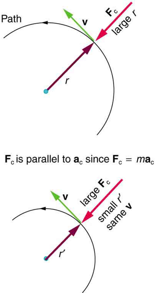 The given figure consists of two semicircles, one over the other. The top semicircle is bigger and the one below is smaller. In both the figures, the direction of the path is given along the semicircle in the counter-clockwise direction. A point is shown on the path, where the radius from the circle, r, is shown with an arrow from the center of the circle. At the same point, the centripetal force is shown in the opposite direction to that of radius arrow. The velocity, v, is shown along this point in the left upward direction and is perpendicular to the force. In both the figures, the velocity is same, but the radius is smaller and centripetal force is larger in the lower figure.