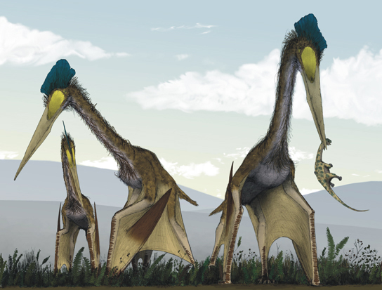 The illustration shows pterosaurs, which resemble large modern birds with long necks, long beaks, and bat-like wings.