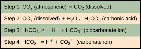   In step 1, atmospheric carbon dioxide dissolves in water. In step 2 dissolve carbon dioxide (CO2) reacts with water (H2O) to form carbonic acid (H2CO3). In step 3, carbonic acid dissociates into a proton (H plus) and a bicarbonate ion (HCO3 minus). In step 4 the bicarbonate ion dissociates into another proton and a carbonate ion (CO3 minus two).