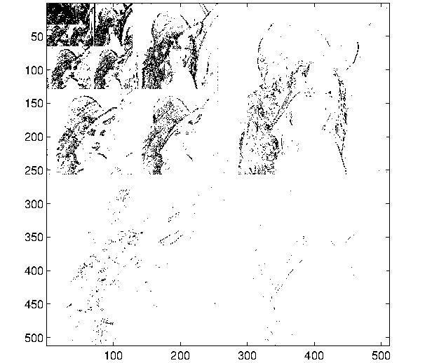 The Significant Map for the Lenna image.