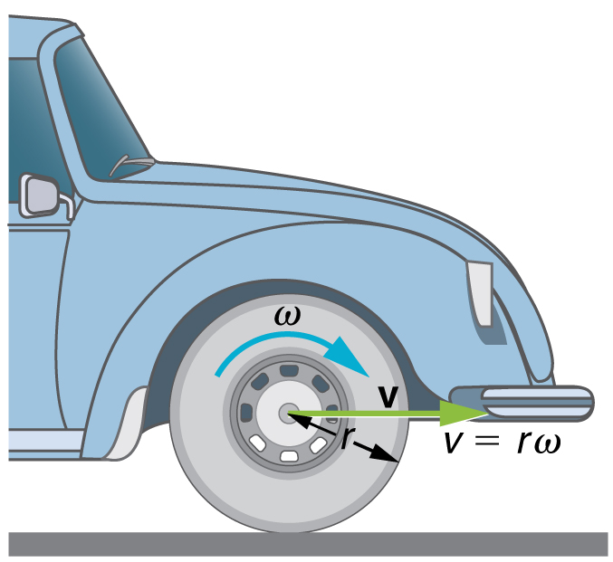 The given figure shows the front wheel of a car. The radius of the car wheel, r, is shown as an arrow and the linear velocity, v, is shown with a green horizontal arrow pointing rightward. The angular velocity, omega, is shown with a clockwise-curved arrow over the wheel.