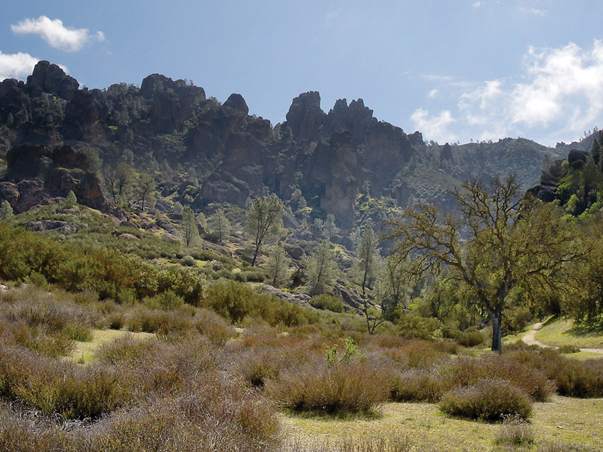 Photo depicts a landscape with many shrubs, dormant grass, a few trees, and mountains in the background.