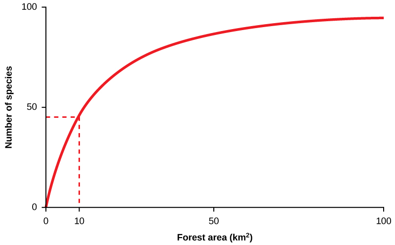  A line graph with number of species on the Y axis, and forest area in kilometers squared on the X axis. The line starts at 0,0, and curves up quickly at first, then more gradually as the values on the X and Y axis increase until the line reaches 100 on the X axis and just below 100 on the Y axis. A vertical dotted line extending up from the value of 10 on the X axis meets the line at just below 50 on the Y axis.