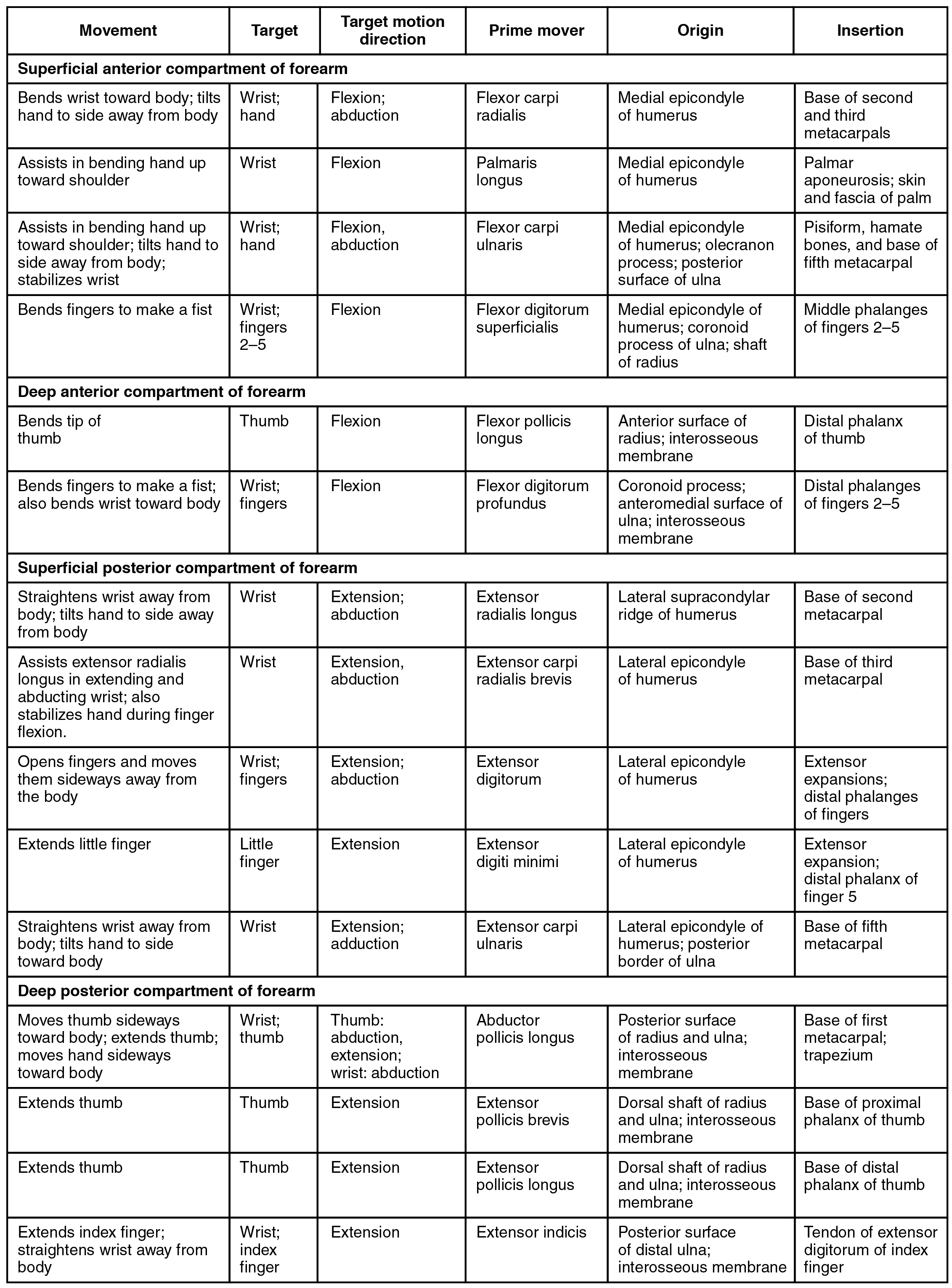 This table describes the muscles that move the wrist, hands, and forearm. These muscles make up the superficial anterior compartment of the forearm. The flexor carpi radialis bends the wrist toward the body; it also tilts the hand to the side away from the body. It originates in the medial epicondyle of the humerus. The palmaris longus assists in bending the hand up toward the shoulder. It originates in the medial epicondyle of the humerus. The flexor carpi ulnaris assists in bending the hand up toward the shoulder; it also tilts the hand to the side away from the body and stabilizes the wrist. It originates in the medial epicondyle of the humerus, the olecranon process, and the posterior surface of the ulna. The flexor digitorum superficialis bends the fingers to make a fist. It originates in the medial epicondyle of the humerus, the coronoid process of the ulna, and the shaft of the radius. These muscles make up the deep anterior compartment of the forearm. The flexor pollicis longus bends the tip of the thumb. It originates in the anterior surface of the radius and the interosseous membrane. The flexor digitorum profundus bends the fingers to make a fist; it also bends the wrist toward the body. It originates in the coronoid process, the anteromedial surface of the ulna, and the interosseous membrane. These muscles make up the superficial posterior compartment of the forearm. The extensor radialis longus straightens the wrist away from the body; it also tilts the hand to the side away from the body. It originates in the lateral supracondylar ridge of the humerus. The extensor carpi radialis brevis assists the extensor radialis longus in extending and abducting the wrist; it also stabilizes the hand during finger flexion. It originates in the lateral epicondyle of the humerus. The extensor digitorum opens the fingers and moves them sideways away from the body. It originates in the lateral epicondyle of the humerus. The extensor digiti minimi extends the little finger. It originates in the lateral epicondyle of the humerus. The extensor carpi ulnaris straightens the wrist away from the body; it also tilts the hand to the side toward the body. It originates in the lateral epicondyle of the humerus and the posterior of the ulna. These muscles make up the deep posterior compartment of the forearm. The abductor pollicis longus moves the thumb sideways toward the body; it also extends the thumb and moves the hand sideways toward the body. It originates in the posterior surface of the radius and ulna and in the interosseous membrane. The extensor pollicis brevis extends the thumb. It originates in the dorsal shaft of the radius and ulna and in the interosseous membrane. The extensor pollicis longus extends the thumb. It originates in the dorsal shaft of the radius and ulna and in the interosseous membrane. The extensor indicis extends the index finger; it also straightens the wrist away from the body. It originates in the posterior surface of the distal ulna and in the interosseous membrane.