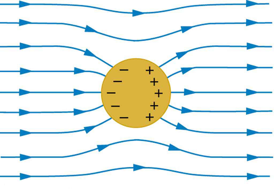 A spherical conductor is placed in the external electric field. The field lines are shown running from left to right. The field lines enter and leave the conductor at right angles. Negative charges accumulate on the left surface of the conductor and positive charges accumulate on the right surface of the conductor.