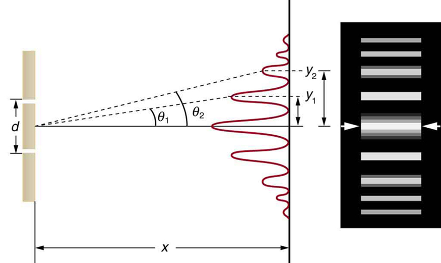 The figure consists of two parts arranged side-by-side. The diagram on the left side shows a double slit arrangement along with a graph of the resultant intensity pattern on a distant screen. The graph is oriented vertically, so that the intensity peaks grow out and to the left from the screen. The maximum intensity peak is at the center of the screen, and some less intense peaks appear on both sides of the center. These peaks become progressively dimmer upon moving away from the center, and are symmetric with respect to the central peak. The distance from the central maximum to the first dimmer peak is labeled y sub one, and the distance from the central maximum to the second dimmer peak is labeled y sub two. The illustration on the right side shows thick bright horizontal bars on a dark background. Each horizontal bar is aligned with one of the intensity peaks from the first figure.