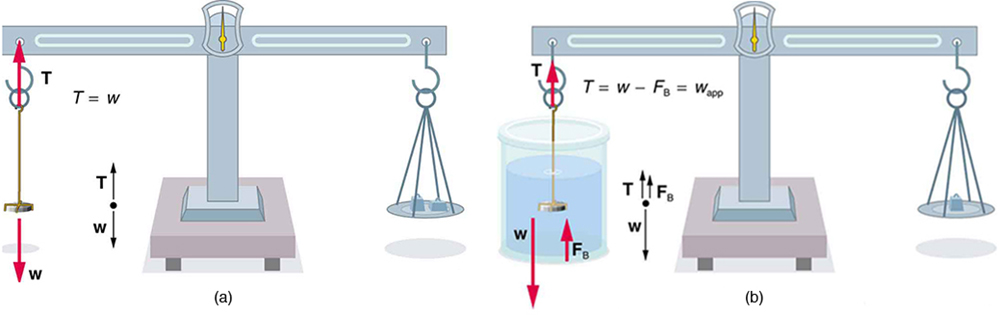 The density of a coin can be determined by measuring its weight in air and its weight submerged in a fluid of known density.