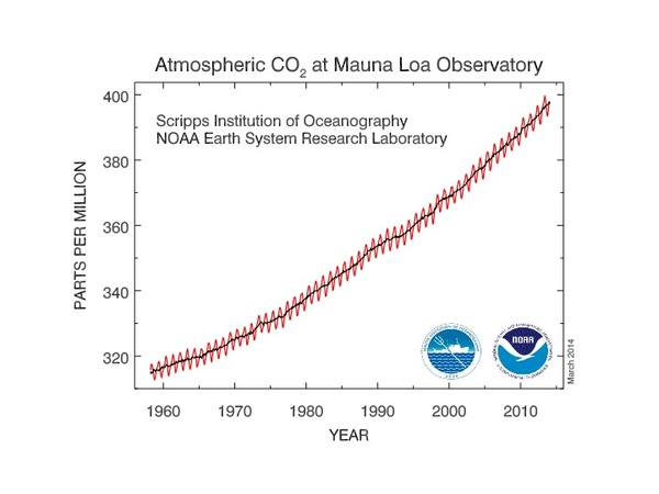  Atmospheric carbon dioxide concentration is plotted against year, from 1960 to 2010. Carbon dioxide concentration has steadily risen in the timeframe shown.