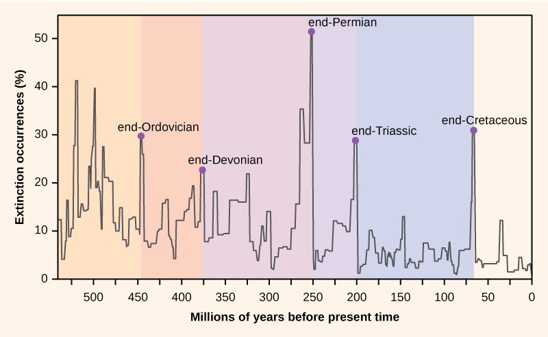 The graph plots percent extinction occurrences versus time in millions of years before present time, starting 550 million years ago. Extinction occurrences increase and decrease in a cyclical manner. At the lowest points on the cycle, extinction occurrences were between 2% and 5% percent. Spikes in the number of extinctions occurred at the end of geological periods: end-Ordovician, 450 million years ago; end-Devonian, 374 million years ago; end-Permian, 252 million years ago; end-Triassic, 200 million years ago; and end-Cretaceous, 65 million years ago. During these spikes, extinction occurrences approximately ranged from 22% to 50%.