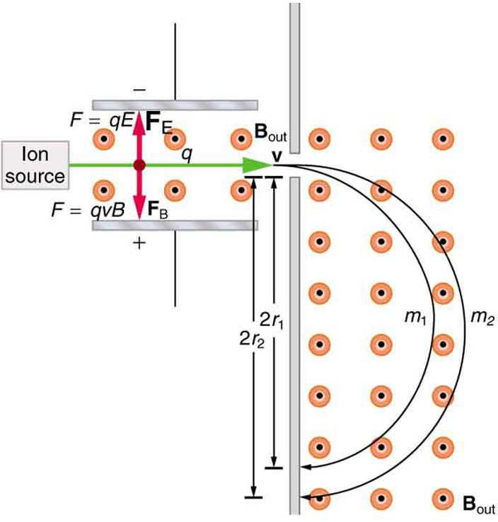 Diagram of a mass spectrometer. Ions travel to the right with velocity v from the ion source. Magnetic field lines come out of the page between two charged plates on either side of the ion beam. The electric force F equals q E acts on the ions in an upward direction while the magnetic force F equals q v B acts in a downward direction. The forces have the same magnitude and thus the ions travel in a straight line between the two plates. The ions then enter another region where the magnetic field lines come out of the page. An ion of mass 1 curves around, traveling a net distance of 2 r 1. An ion of mass 2 curves around, traveling a net distance of 2 r 2.