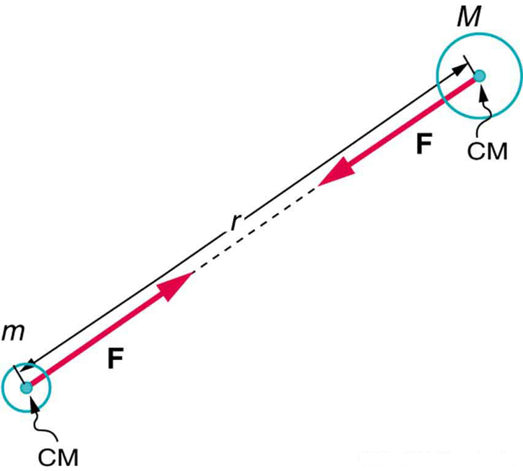 The given figure shows two circular objects, one with a larger mass M on the right side, and another with a smaller mass m on the left side. A point in the center of each object is shown, with both depicting the center of mass of the objects at these points. A line is drawn joining the center of the objects and is labeled as r. Two red arrows, one each from both the center of the objects, are drawn toward each other and are labeled as F, the magnitude of the gravitational force on both the objects.