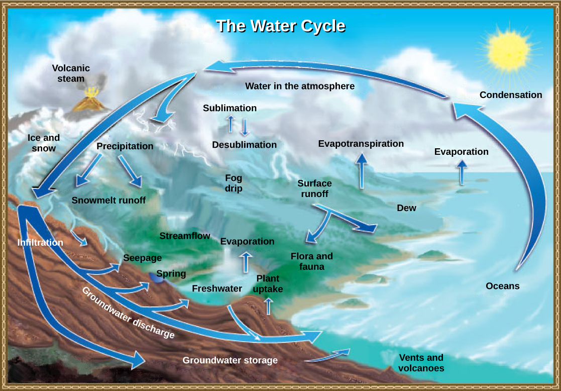  Illustration shows the water cycle. Water enters the atmosphere through evaporation, evapotranspiration, sublimation, and volcanic steam. Condensation in the atmosphere turns water vapor into clouds. Water from the atmosphere returns to the Earth via precipitation or desublimation. Some of this water infiltrates the ground to become groundwater. Seepage, freshwater springs, and plant uptake return some of this water to the surface. The remaining water seeps into the oceans. The remaining surface water enters streams and freshwater lakes, where it eventually enters the ocean via surface runoff. Some water also enters the ocean via underwater vents or volcanoes.