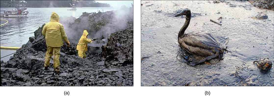 Part a shows two men in yellow raingear hosing off oil-drenched rocks on a sea-shore. Part b shows an oil-drenched bird sitting in oily water.