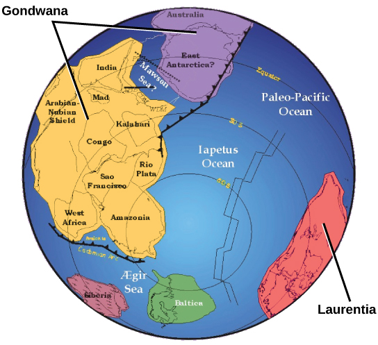 A world map shows two continents, Gondwana and Laurentia, which are shaped very differently from the continents of today. Gondwana was made up of two smaller subcontinents separated by a narrow sea. One continent contained modern Antarctica, and the other contained parts of Africa.