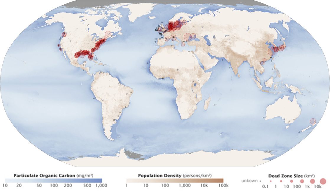 World map shows areas where dead zones occur. Dead zones are present along the eastern and western shore of the United States, in the North and Mediterranean Seas, and off the east coast of Asia.