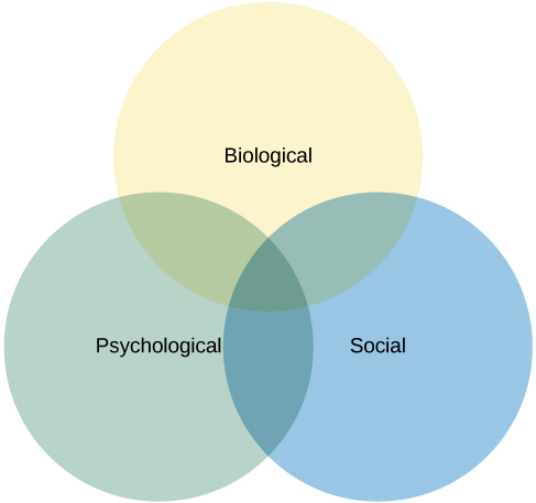 Three circles overlap in the middle. The circles are labeled Biological, Psychological, and Social.