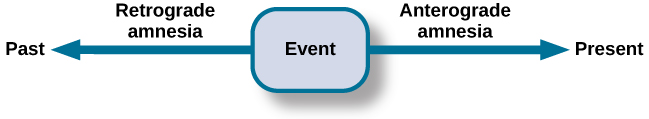 A single-line flow diagram compares two types of amnesia. In the center is a box labeled “event” with arrows extending from both sides. Extending to the left is an arrow pointing left to the word “past”; the arrow is labeled “retrograde amnesia.” Extending to the right is an arrow pointing right to the word “present”; the arrow is labeled “anterograde amnesia.”