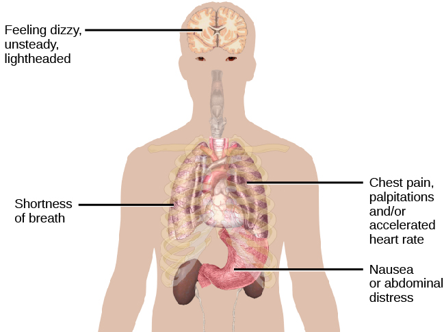 A diagram shows an outline of a person’s upper body. Within this outline, some of the major organs appear. The brain is labeled, “Feeling dizzy, unsteady, lightheaded.” The heart is labeled, “Chest pain, palpitations and/or accelerated heart rate.” The lungs are labeled, “Shortness of breath.” The stomach is labeled, “Nausea or abdominal distress.”