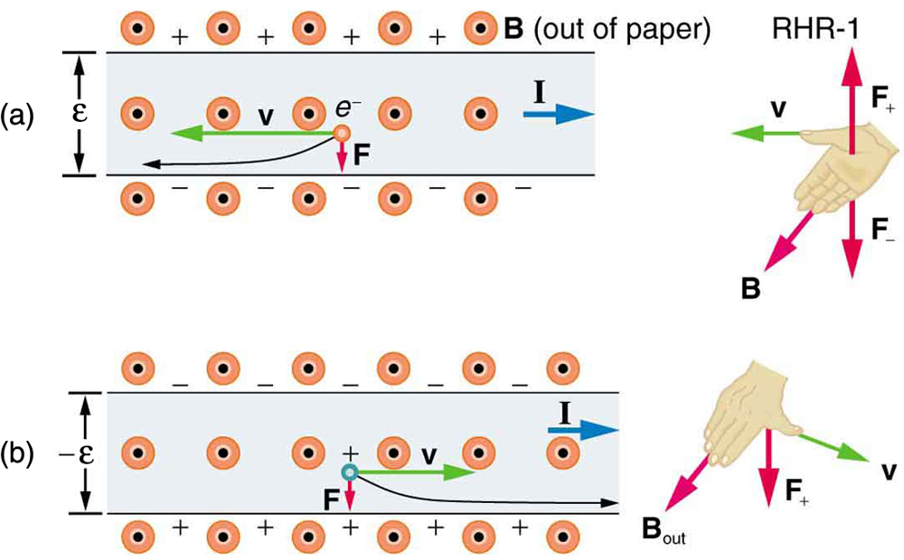 Figure a shows an electron with velocity v moving toward the left. The magnetic field B is oriented out of the page. The current I is running toward the right. The force vector on the electron points downward. An illustration of the right hand rule shows the right thumb pointing left with the v vector, the fingers pointing toward 7 o’clock with the B vector, the force vector on a positive charge pointing up and the force vector on a negative charge pointing down. Figure b shows a positive charge moving toward the right. The magnetic field lines are coming out of the page. The current I is running toward the right. The force on the positive charge is down. An illustration of the right hand rule shows the thumb pointing in the direction of the charge’s velocity, the fingers pointing in the direction of B, and F pointing down away from the palm.