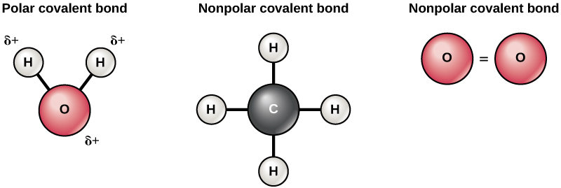 Diagram depicting polar and nonpolar covalent bonds