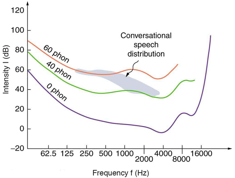 A graph of variation of intensity versus frequency is shown. The intensity in decibel is along Y axis and frequency is along X axis. There are three curves each for some count on phon zero, forty and sixty. The graphs are similar in shape but rising in value with increase in phon. The graph has an initial fall from maximum value on Y axis reaches a minimum and then there is a wavy rise. The conversational speech distribution is shown as a strip across the graph.