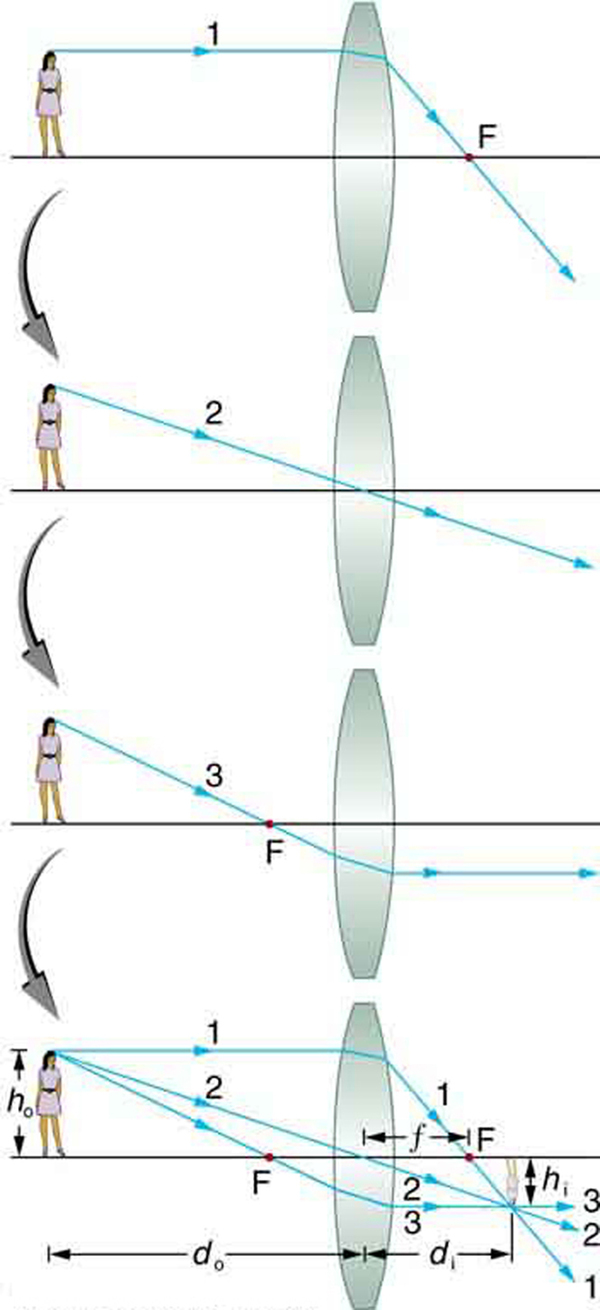 First of four images shows an incident ray 1 coming from an object (a girl ) placed on the axis. After refraction, the ray passes through F on other side of the lens. Second of four images shows an incident ray 2 passing through the center without any deviation. Third of four images shows an incident ray passing through F, which after refraction goes parallel to the axis. Fourth image shows a combination of all three rays, 1, 2, and 3, incident on a convex lens; after refraction, they converge or cross at a point below the axis at some distance from F. Here the height of the object h sub o is the height of the girl above the axis and h sub i is the height of the image below the axis. The distance from the center to point F is small f. The distance from the center to the girl is d sub o and that to the image is d sub i.