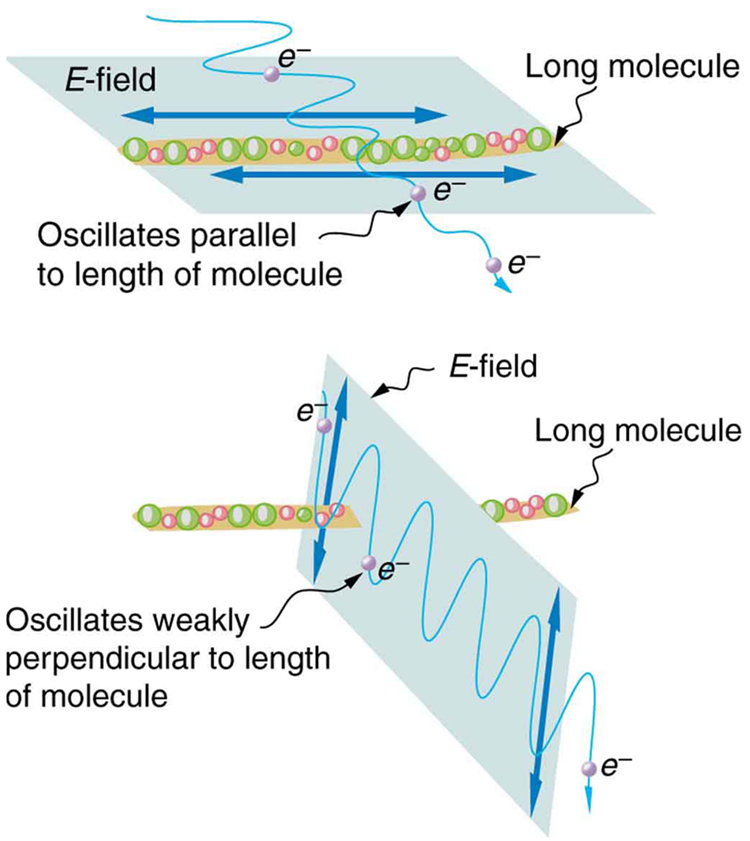 The figure contains two schematics. The first schematic shows a long molecule. An EM wave goes through the molecule. The ray of the EM wave is at ninety degrees to the molecular axis and the electric field of the EM wave oscillates along the molecular axis. After passing the long molecule, the magnitude of the oscillations of the EM wave are significantly reduced. The second schematic shows a similar drawing, except that the EM wave oscillates perpendicular to the axis of the long molecule. After passing the long molecule, the magnitude of the oscillation of the EM wave is unchanged.