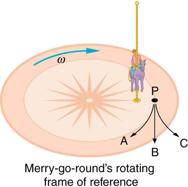 The given figure shows the circular base of a merry-go-round, whose angular velocity is clockwise, shown here with an arrow. A single horse is shown on whom a child is sitting, with a vertical line shown passed through her, which goes from the bottom of the merry-go-round to the top of it. A point P is shown alongside the horse, through which three arrows in downward three directions are shown which depicts the three possible path of the fall of the lunch box.