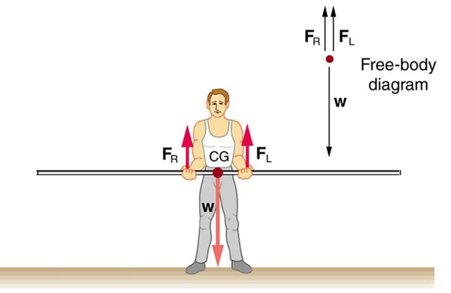 A pole vaulter is standing on the ground holding a pole with his two hands. The center of gravity of the pole is between the hands of the pole vaulter and is near the right hand of the man. The weight W is shown as an arrow downward toward center of gravity. The reactions F sub R and F sub L of the hands of the man are shown with vectors in upward direction. A free body diagram of the situation is shown on the top right side of the figure.