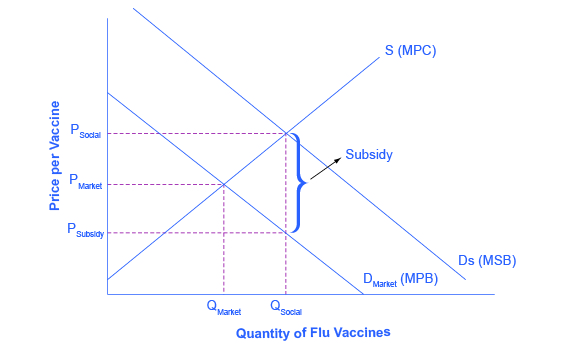 The graph shows the market for flu shots: flu shots will go under produced because the market does not recognize their positive externality. If the government provides a subsidy to consumers of flu shots, equal to the marginal social benefit minus the marginal private benefit, the level of vaccinations can increase to the socially optimal quantity of QSocial.