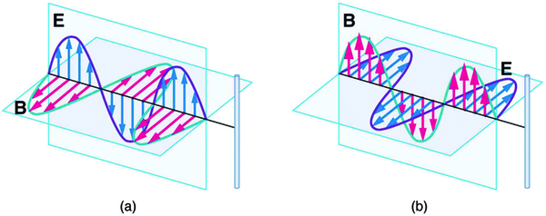 Part a of the diagram shows an electromagnetic wave approaching a long straight vertical wire. The wave is shown with the variation of two components E and B. E is a sine wave in vertical plane with small arrows showing the vibrations of particles in the plane. B is a sine wave in a horizontal plane perpendicular to the E wave. The B wave has arrows to show the vibrations of particles in the plane. The waves are shown intersecting each other at the junction of the planes because E and B are perpendicular to each other. The direction of propagation of wave is shown perpendicular to E and B waves. Part b of the diagram shows an electromagnetic wave approaching a long straight vertical wire. The wave is shown with the variation of two components E and B. E is a sine wave in horizontal plane with small arrows showing the vibrations of particles in the plane. B is a sine wave in a vertical plane perpendicular to the E wave. The B wave has arrows to show the vibrations of particles in the plane. The waves are shown intersecting each other at the junction of the planes because E and B are perpendicular to each other. The direction of propagation of wave is shown perpendicular to E and B waves. 