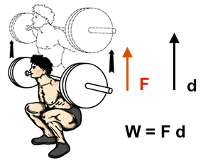 1D work for vertical motion