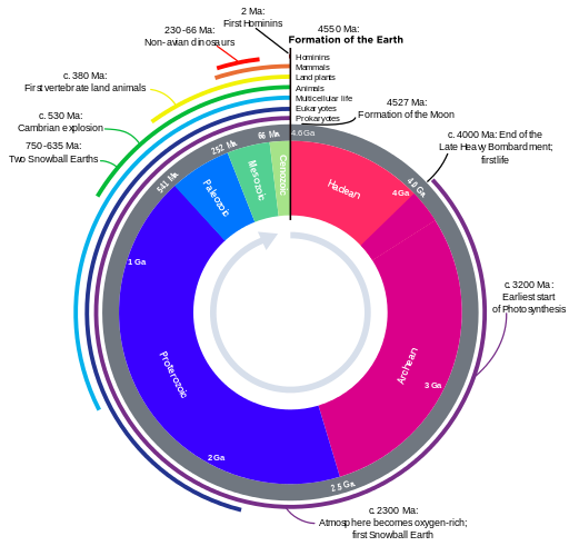 This picture shows major events depicted on the geological time scale. 4527 millions of years ago (mya), the Moon formed. Around 4000 mya, the first life formed. Around 3200 mya, we have evidence of photosynthesis.  Around 2300 mya, the atmosphere becomes oxygen-rich. Around 530 mya was the Cambrian Explosion, where marine biodiversity rapidly increased.  Around 380 mya, we have evidence of the first vertebrate land animals. From 230-66 mya, non-avian dinosaurs dominated land environments. Around 2 mya, we have evidence of the first hominins.