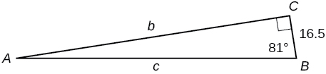 A right triangle with corners labeled A, B, and C. Sides labeled b, c, and 16.5. Angle of 81 degrees also labeled.