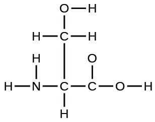 A Lewis structure is shown. A nitrogen atom is single bonded to two hydrogen atoms and a carbon atom. The carbon atom is single bonded to a hydrogen atom and two other carbon atoms. One of these carbon atoms is single bonded to two hydrogen atoms and an oxygen atom. The oxygen atom is bonded to a hydrogen atom. The other carbon atom is single bonded to two oxygen atoms, one of which is bonded to a hydrogen atom.