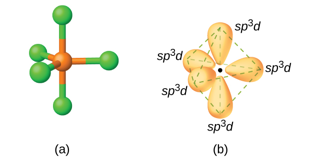 Two images are shown and labeled “a” and “b.” Image a depicts a ball-and-stick model in a trigonal bipyramidal arrangement. Image b depicts the hybrid orbitals in the same arrangement and each is labeled, “s p superscript three d.”