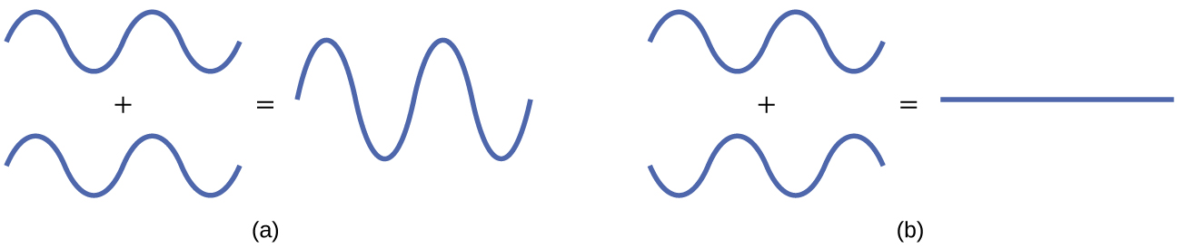 A pair of diagrams are shown and labeled, “a” and “b.” Diagram a shows two identical waves with two crests and two troughs. They are drawn one above the other with a plus sign in between and an equal sign to the right. To the right of the equal sign is a much taller wave with a same number of troughs and crests. Diagram b shows two waves with two crests and two troughs, but they are mirror images of one another rotated over a horizontal axis. They are drawn one above the other with a plus sign in between and an equal sign to the right. To the right of the equal sign is a flat line.