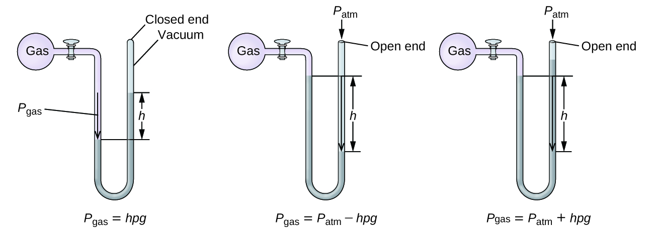 Three diagrams of manometers are shown. Each manometer consists of a spherical pink container filled with gas on the left that is connected to a U-shaped, sealed tube by a valve on its right. The top of the U-shape aligns with the gas-filled sphere and the U, which extends below, contains mercury. The first manometer has a sealed tube. The sealed end to the upper right in the diagram is labeled “closed end” and “vacuum.” An arrow points downward in the left side of the U shaped tube to the mercury surface. This arrow is labeled “P subscript gas.” The mercury level is higher in the right side of the tube than in the left. The difference in height is labeled “h.” Beneath this manometer illustration appears the label P subscript gas equal sign h rho g. The second manometer has an open ended tube, which is labeled “open end.” At this opening in the upper right of the diagram is a downward arrow, above which is the label P subscript a t m. An arrow points downward in the left side of the U shaped tube to the mercury surface. This arrow is labeled “P subscript gas.” The mercury level is higher in the left side of the tube than in the right. This difference in height is labeled “h.” Beneath this manometer illustration appears the label P subscript gas equal sign P subscript a t m minus sign h rho g. The third manometer has an open ended tube and is similar to the second manometer except that mercury level is higher in the right side of the tube than in the left. This difference in height is labeled “h.” Beneath this manometer illustration appears the label P subscript gas equal sign P subscript a t m plus h rho g.